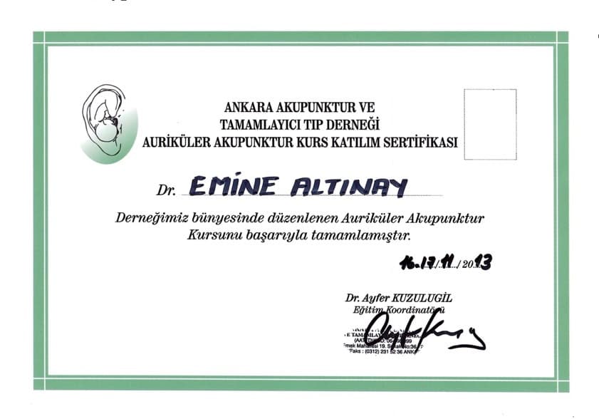 Dr. Emine Altınay Medikal Eğitim Sertifikası 21