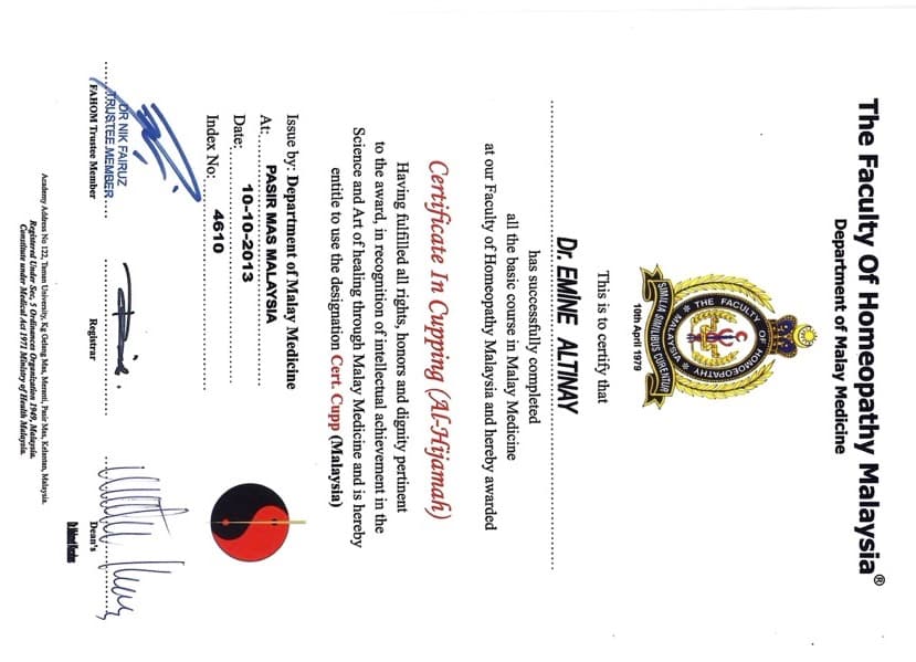 Dr. Emine Altınay Medikal Eğitim Sertifikası 24